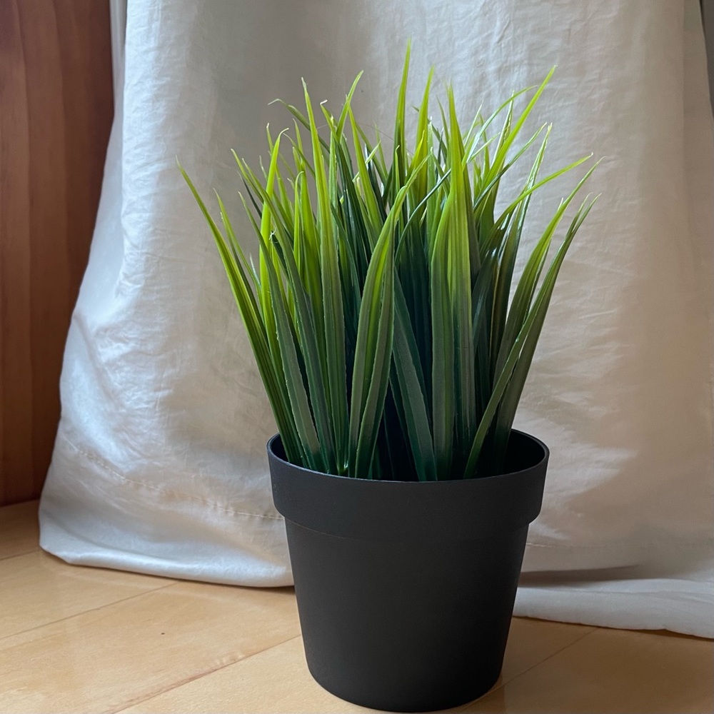 Faux Plant; Plastic Plant for Home or Office; IKEA